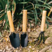 ราคา ที่พรวนดิน พลั่วสวนขุดดินบอนไซ Gardening Shovel อุปกรณ์ปลูกต้นไม้ ชุดทำสวน ชุด 3 ชิ้น (26525917369)
