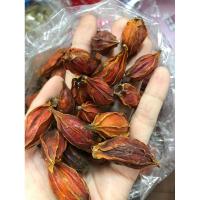 ราคา เม็ดพุด เม็ดเหลือง พุดจีน 100 กรัม (20284245235)