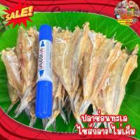 ราคา ปลาช่อนทะเล ขนาด 100 กรัม ไม่เค็ม เป็น ปลาขนาดกลาง เนื้อบาง ตัวสวย กลมกล่อมไม่เค็มและไม่จืด พอดีกิน (43950091179)