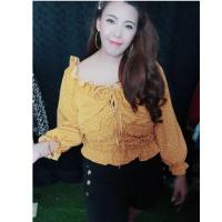 ราคา เสื้อสาวอวบ-อ้วน อก40-52 (7609801595)