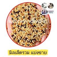 ราคา มิลเล็ตรวม 3 สี อาหารนกเขาเล็ก เขาชวา หงส์หยก - อาหารนกเขาใหญ่ (แบ่งขาย) (17098746721)