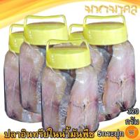 ราคา มหามงคล ปลาอินทรีย์เค็มในน้ำมันพืช (เล็ก) 320กรัม 5กระปุก ปลาอินทรีย์ ปลาอินทรีย์ ปลาอินทรีย์น้ำมัน (14329637100)