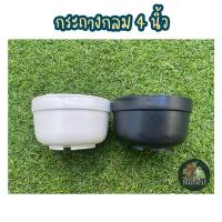 ราคา กระถางเพาะเมล็ดแคคตัส กระถางทรงกลม กระถางกลม 4 นิ้ว (7193898033)