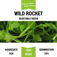 ราคา เมล็ดพันธุ์ ผักสลัด ไวลด์ ร็อคเก็ต (Wild Rocket) (40656567398)