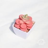 ราคา ต้นไม้ปลอม ต้นไม้ประดิษฐ์ กระถางต้นไม้ปลอม ตกแต่งบ้าน ดอกไม้ปลอม (15048347881)