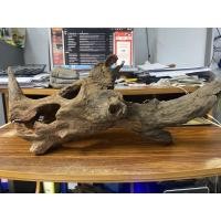 ราคา ขอนไม้ ตอไม้โพรงรูปร่างหัวไดโนเสาร์ ขนาด 19 นิ้ว ประดับตู้เลี้ยงปลา กิ้งก่า งู แมลงหรือจัดสวน (8650124563)