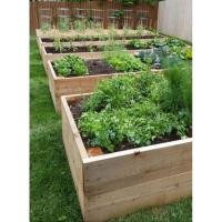 ราคา กระบะไม้ปลูกต้นไม้ กระบะไม้ปลูกผัก กระบะไม้แต่งสวน (26935095240)