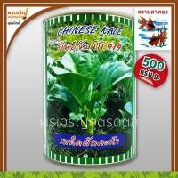 ราคา เมล็ดพันธุ์คะน้า คะน้ายอด คะน้าจัมโบ้ 919 (500 กรัม) เมล็ดคะน้ายอด เมล็ดคะน้าปลาทอง เมล็ดพันธุ์ผักสวนครัว ตราปลาทอง (13928545052)