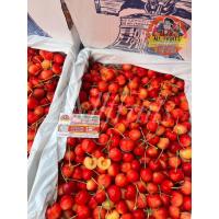 ราคา เชอรี่สีทองจากประเทศUSAหวานกรอบก้านสด (23147020697)