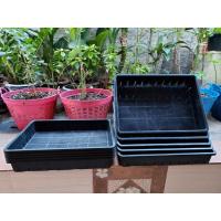 ราคา ถาดเพาะชำอเนกประสงค์ ถาดเพาะเมล็ด ถาดอเนกประสงค์แบบมีรูระบายจำนวน 10 ใบ (9112184096)