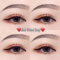 ราคา คอนแทคเลนส์✨ขนาดมินิ✨Brown/Gray✨Mini vivian (kittykawaii) (21275215149)