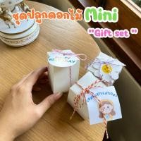 ราคา ชุดปลูกดอกไม้ " Mini gift set" ของขวัญปัจฉิม ของขวัญรับปริญา ของชำร่วย ของขวัญ จัดทำ 1-2 วัน୨ৎ (29524391098)