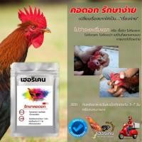 ราคา ไก่ชน คอดอก เป็นฝ้า หายขาด (20788115494)