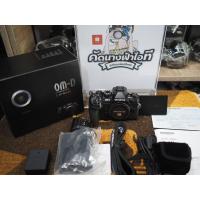 ราคา Olympus OM-D E-M1 Mark II Body สภาพนางฟ้า ตีไป99% สภาพใหม่มาก แทบไม่ได้ใช้งาน เป็นอดีตประกันศูนย์ ชัตเตอร์1พัน ไม่มีราไม (23441804322)