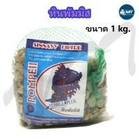 ราคา หินพัมมิส หินภูเขาไฟ สำหรับกรองน้ำบ่อปลา พร้อมถุงตาข่าย ขนาด 1 กิโลกรัม (19346686567)