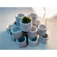 ราคา กระปูนเปลือย กระถางปูนซื้อ 10 แถม 1 กระถางแคดตัส Cement Pot (3438844436)