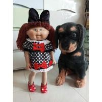 ราคา Vintage cabbages ตุ๊กตากะหล่ำ cpk เปลี่ยนใส่บอดี้ตุ๊กตาขายืน น้องสามารถยืนเองได้ค่ะ (23039643179)