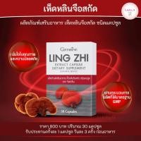 ราคา ส่งฟรี เห็ดหลินจือสกัด กิฟฟารีน (30 แคปซูล) ชนิดแคปซูล LING ZHI เห็ดหลินจือแดง (3796136085)