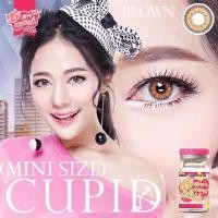 ราคา คอนเทคเลนส์ Kitty Kawaii : Cupid(Gray,Brown) ค่าสายตาปกติ/สายตาสั้น (5586175221)