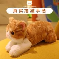 ราคา ตุ๊กตาแมวน่ารักจําลองลูกแมวตุ๊กตาแมวเด็กนอนหมอนเด็กของเล่นตุ๊กตาสาว แร็กดอลล์ (49352830578)