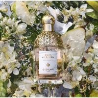 ราคา น้ำหอม Guerlain Pera Granita edt 75ml. (22480276123)