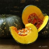 ราคา เมล็ดดอก พันธุ์ดอกไม้ ฟักทองญี่ปุ่นถูกที่สุด10บ.เมล็ดพันธุ์ฟักทองญี่ปุ่น 3 เมล็ดเนื้อหวานที่สุด!!☘️ปลูกง่าย ☘️ลูกดก รสชา (16433865132)