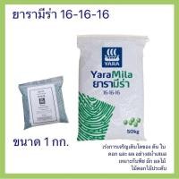 ราคา #ปุ๋ยยารามีร่า สูตร 16-16-16 รับประกันของแท้ 100% แบ่งขาย 1 กก. เม็ดสีฟ้า เร่งการเจริญเติบโตของ ต้น ผล ใบ ดอก สม่ำเสมอ (22767916008)