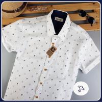 ราคา เสื้อเชิ้ตแขนสั้น คอปก ผ้า Oxford ลายเครื่องบิน สีขาว มีไซส์ S-4XL (3361338693)
