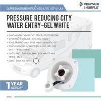 ราคา Pentair Shurflo 183-029-18 Pressure Reducing City Water Entry-Get White (8080794629)