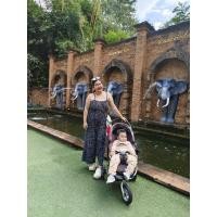 ราคา (ส่งฟรี) รถเข็นสามล้อ เด็กเล็ก Air Buggy (25317311806)