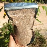 ราคา เม็ดสาคูแท้ 500 กรัม ทำจากต้นสาคูแท้ 100% ของเมืองตรัง (6633805922)