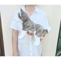 ราคา ตุ๊กตาสุนัขไซบีเรียนฮัสกี้ Ty ขนนุ่ม ก้นถ่วง ปี 2001 Ty SLUSH The Husky Dog ( Original Version ) ขนาด 13 นิ้ว ป้าย Ty (26455002318)