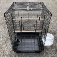 ราคา กรงนกแก้ว ซัน 40*40*60cm ซัน เกรย์ คอกกาเทล เลิฟเบริด หงส์หยก พอฟัส (4532795315)