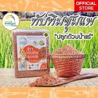 ราคา ข้าวกล้องอินทรีย์ "ทับทิมชุมแพ" สายน้ำแร่แจ้ซ้อน 1 กิโลกรัม (19179759276)
