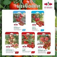 ราคา เมล็ดมะเขือเทศ (เมล็ดซอง ตราศรแดง)พวงชมพู,เพทาย,แพรวชมพู,เรดดี้,เอ็กซ์ตร้า (51753595761)