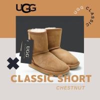 ราคา รองเท้าบูทกันหนาวสำหรับเด็ก UGG CLASSIC SHORT #พร้อมส่ง (25112505065)