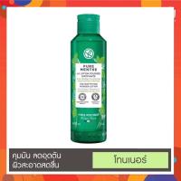 ราคา อีฟโรเช Yves Rocher Pure Menthe The Matifying Powder Lotion 150 ml เพียว มองต์ เดอะ แมททิฟายอิ้ง พาวเดอร์ โลชั่น 150 มล (12012305193)