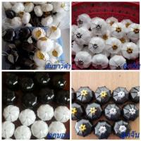 ราคา เหรียญโปรยทานงานขาวดำ(ตัวเปล่า) (2914675708)