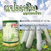 ราคา แฟงงาช้าง เมล็ดพันธุ์ฟักแฟง 50 ก. ลูกใหญ่ งอกง่าย ยาว ทรงกระบอก ตรา โอเคซีดส์ (22386551018)