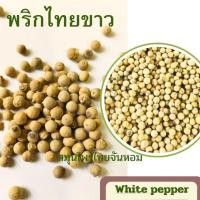 ราคา พริกไทยขาว พริกไทย พริกไทยเม็ด พริกไทยขาวเม็ด White pepper ขนาด 500 กรัม (10919035375)