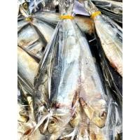 ราคา ปลาหลังเขียวเค็ม ปลาเค็ม ปลาทะเลตากแห้ง (43678684529)