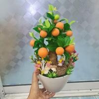 ราคา ต้นส้มมงคล ขนุนมงคล กล้วยมงคลดินปั้น (7814866103)