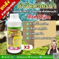 ราคา ยกลัง กำจัดตะไคร่น้ำ ราเขียว รอยคลีน แหล่งสะสมเชื้อโรค แบคทีเรีย ในไม้ผลทุกชนิด สารอินทรีย์ ปลอดภัยต่อพืช คูลเกษตร KF6W (26341153845)