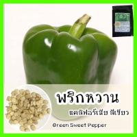 ราคา พร้อมส่ง ❗ รหัส 114 เมล็ดพันธุ์ OP แท้ พริกหวานแคลิฟอร์เนียสีเขียว - Green Sweet Pepper เมล็ดนำเข้า เมล็ดพริก ผัก พริก (9357494277)
