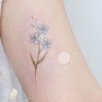 ราคา จัสมินย้อมแสงสไตล์โบราณสักกันน้ำและติดทนนานสาวอินบุคลิกภาพสดและเซ็กซี่สติ๊กเกอร์รอยสักกันน้ำวร (29851956511)