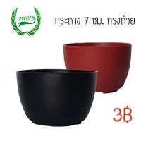ราคา กระถางแคคตัส ทรงถ้วยชา 7ซม 2.75" แคคตัส กระถางกระบองเพชร (6146346460)