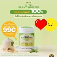 ราคา ยัวร์ นิวทริ แพลนท์ โปรตีน โปรตีนผงจากถั่วลันเตา,เมล็ดฝักทอง,และข้าวกล้อง รสช็อคโกแลต ขนาด 500 กรัม (27059687821)
