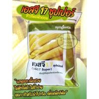 ราคา ข้าวโพดฝักอ่อน SG17 ซุปเปอร์ 5 กิโล ข้าวโพดแอ้ ลูกผสม Syngenta (25865275671)