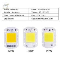 ราคา Openw ชิป LED 20W 30W 50W AC 220V สมาร์ท COB โคมไฟลูกปัด LED โคมไฟไม่มีไดร์เวอร์ DIY Lampada ชิปกลางแจ้ง light ฟลัดไลท์ spotlight GOOD (25294447703)