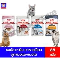 ราคา Royal Canin รอยัล คานิน อาหารเปียก ลูกแมวและแมวโต ขนาด 85g. (44425869620)